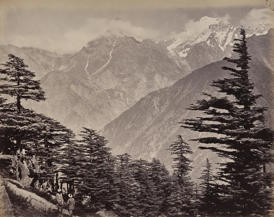 The Upper Himmalayahs. View Near China Mountains. Deoders in the Foreground by Samuel Bourne
