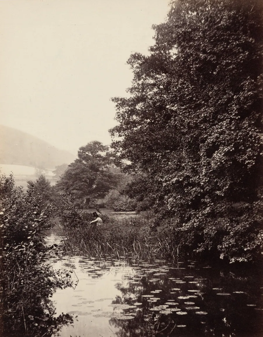On the River Mole, Surrey by Alfred Rosling