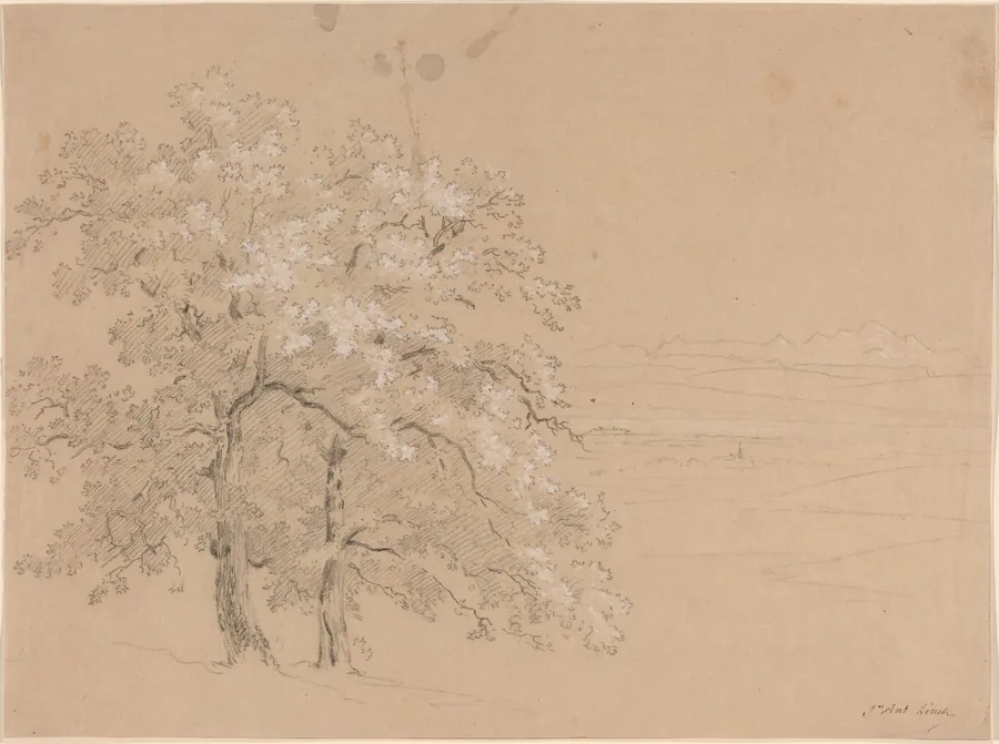 Sunlit Trees Before a Panoramic Landscape by Jean Antoine Linck