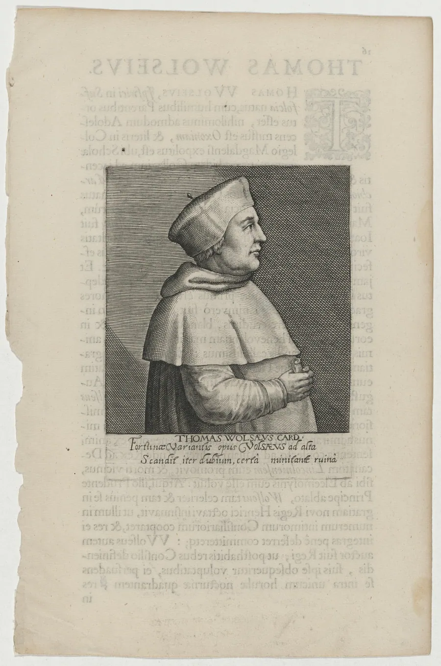 Thomas Wolsey, Cardinal by Willem de Passe