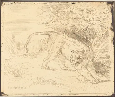 Tigre en arrêt