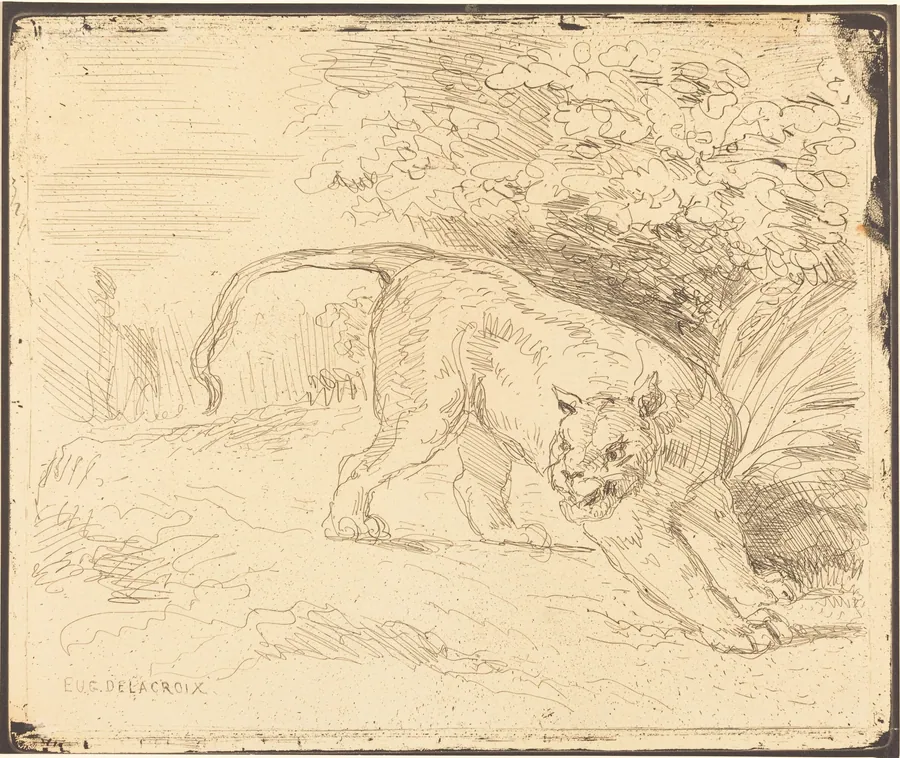 Tigre en arrêt by Eugène Delacroix