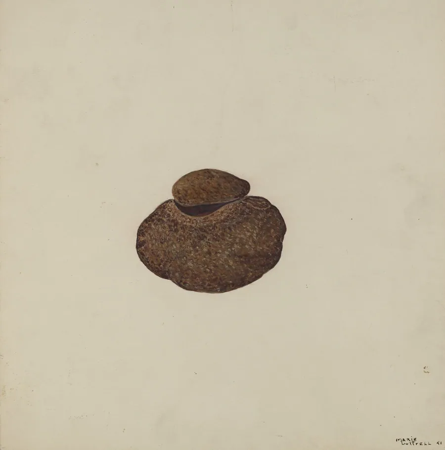 Stone Carved Out to Hold War Paint by Marie Lutrell