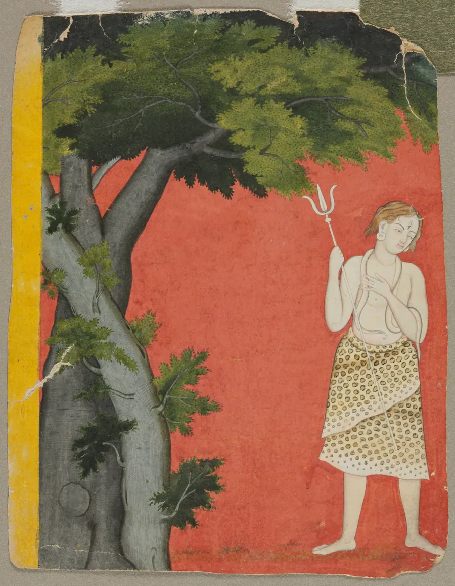 Shiva under trees