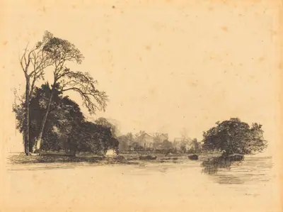 Banks of the Tamise