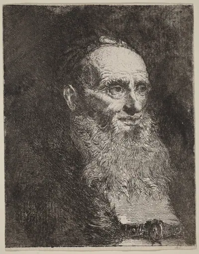 Old Man with a Beard
