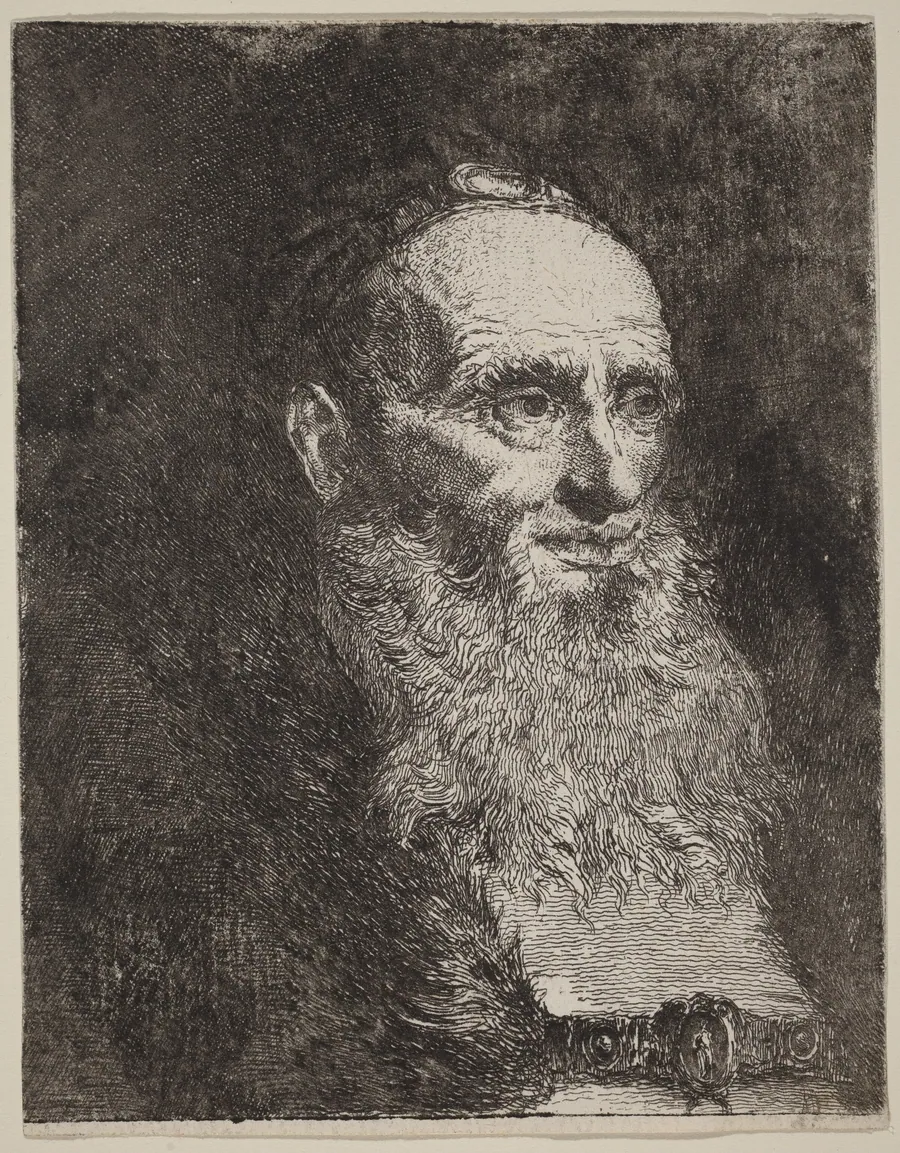 Old Man with a Beard by Giovanni Domenico Tiepolo