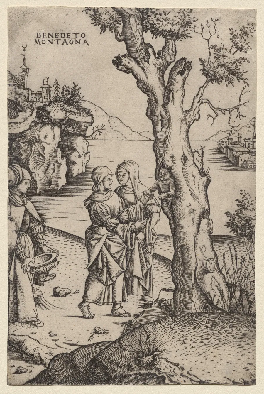 Birth of Adonis by Benedetto Montagna