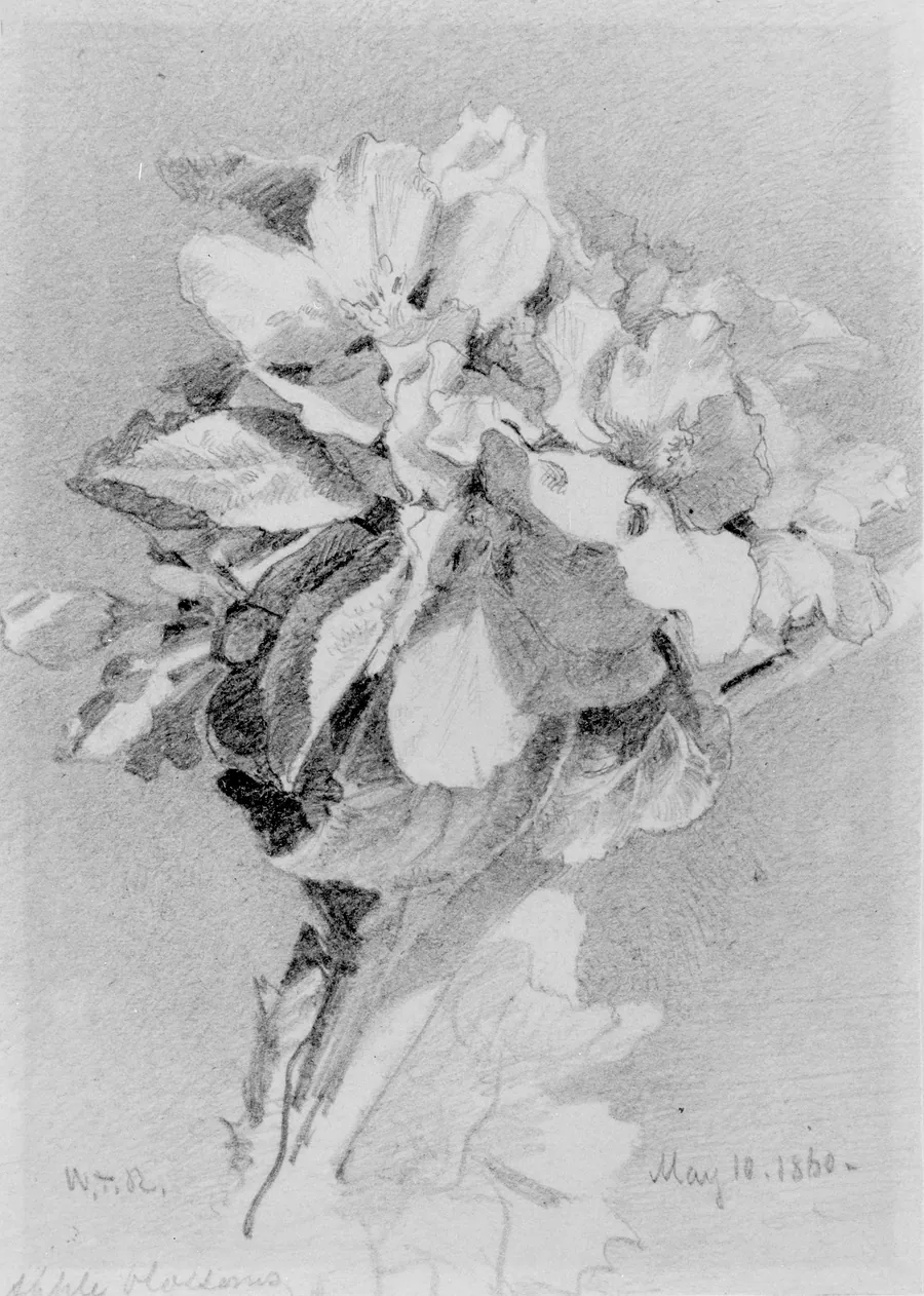 Apple Blossoms by William Trost Richards