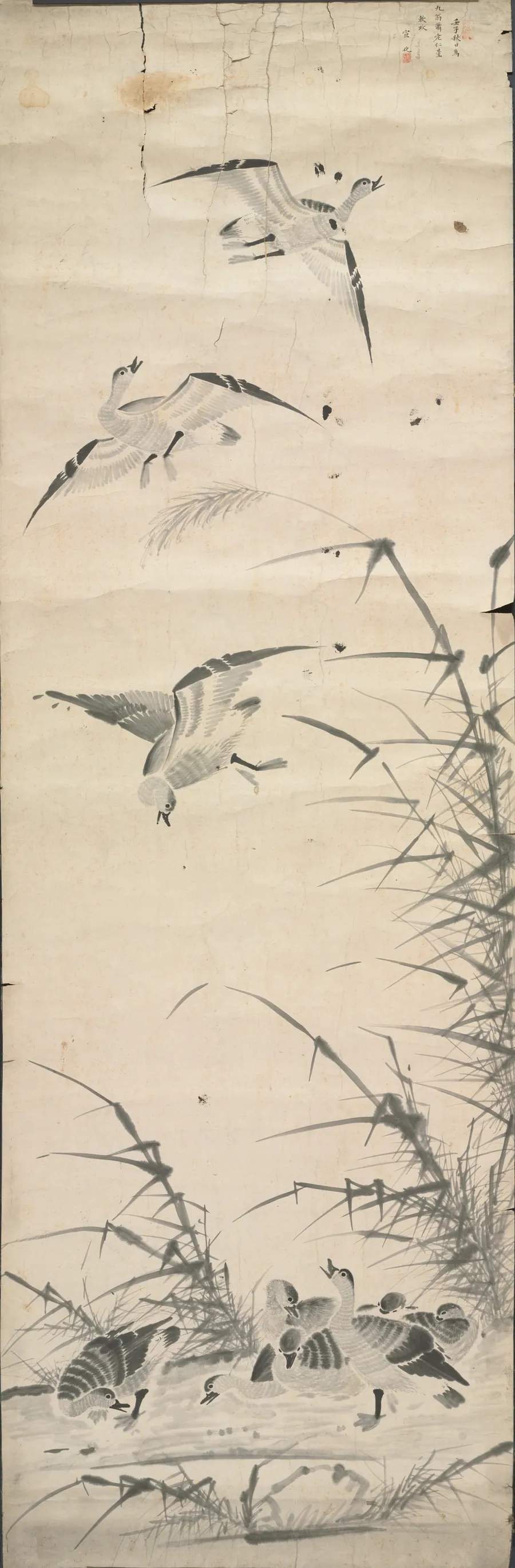 Wild Geese and Reeds