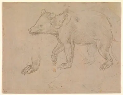 A Bear Walking
