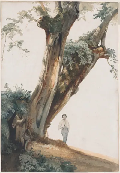 Ancient Trees in the Roman Campagna