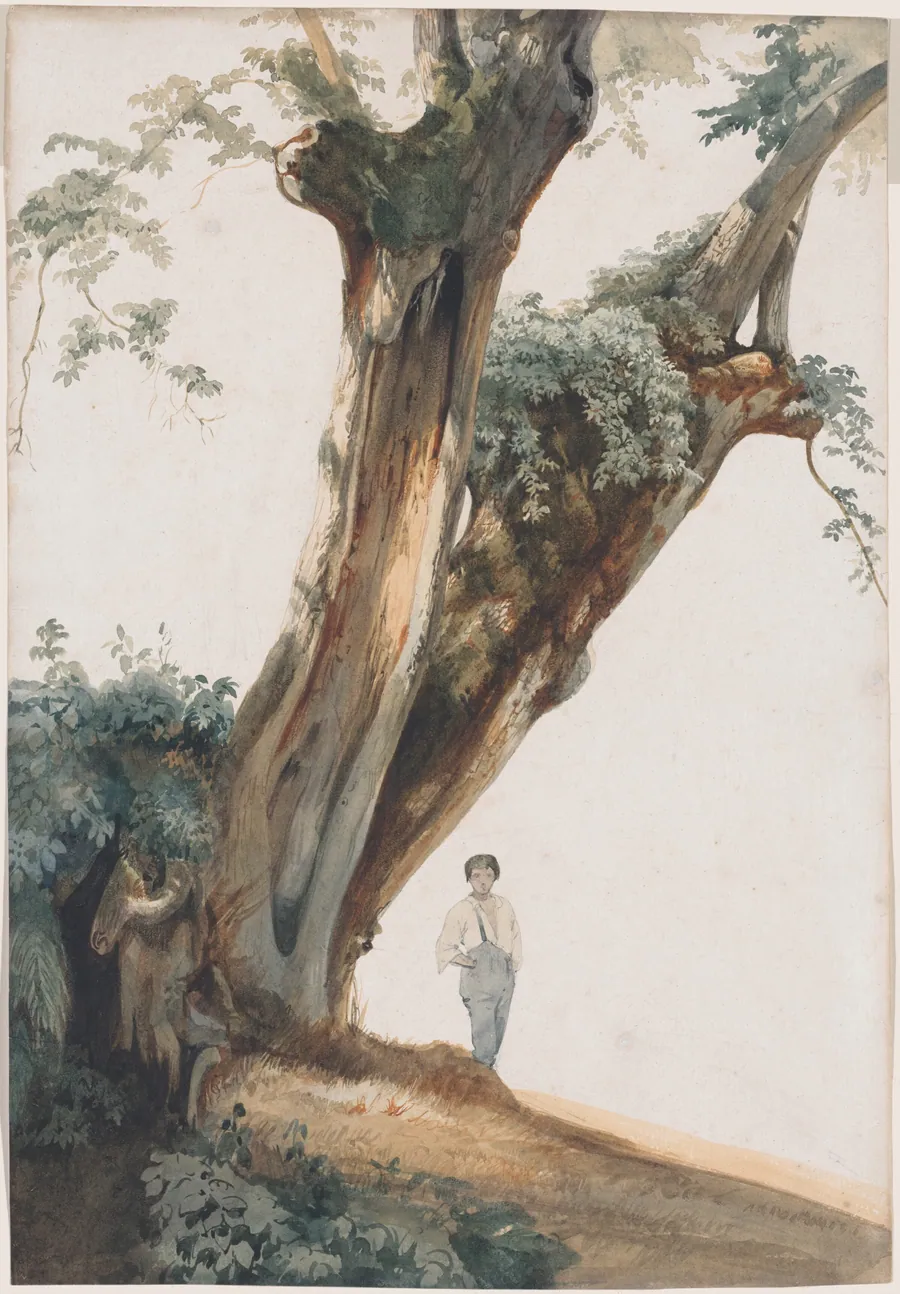 Ancient Trees in the Roman Campagna by Giovanni Costa