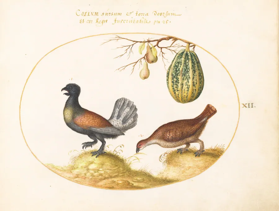 Plate 12: Pair of Wood Grouse with a Melon and Pears by Joris Hoefnagel