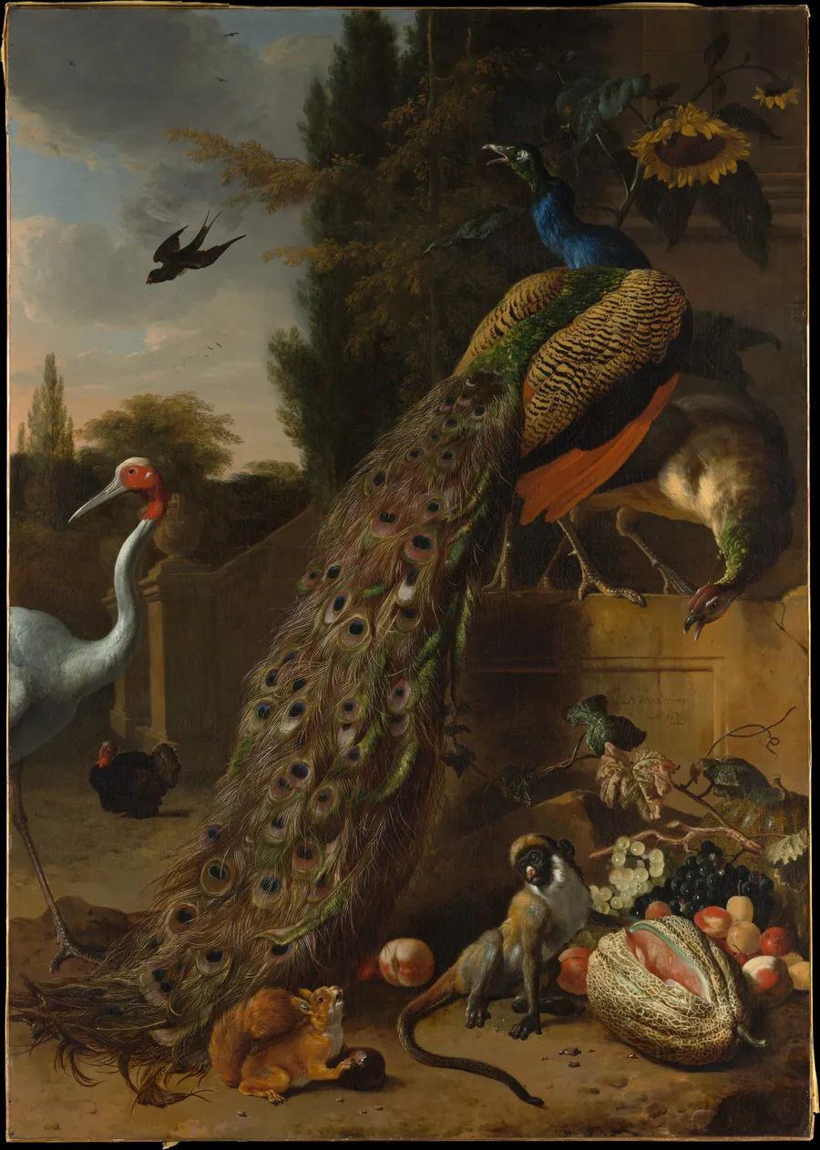 Peacocks by Melchior d' Hondecoeter
