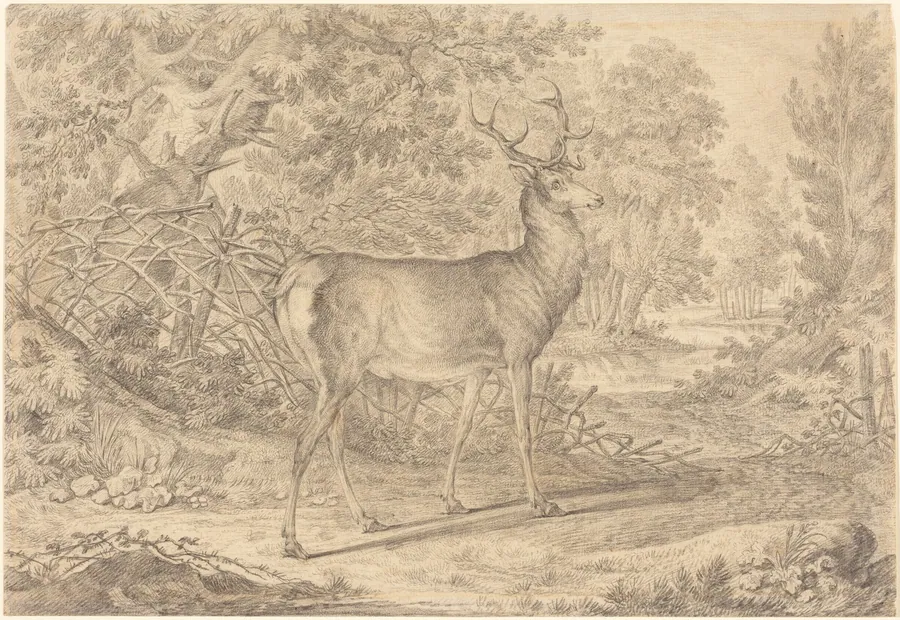 A Splendid Young Stag before a Wattle Fence by Johann Elias Ridinger