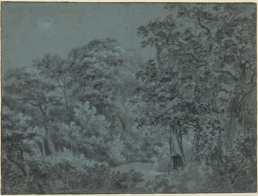 In the Hague Woods by Simon de Vlieger