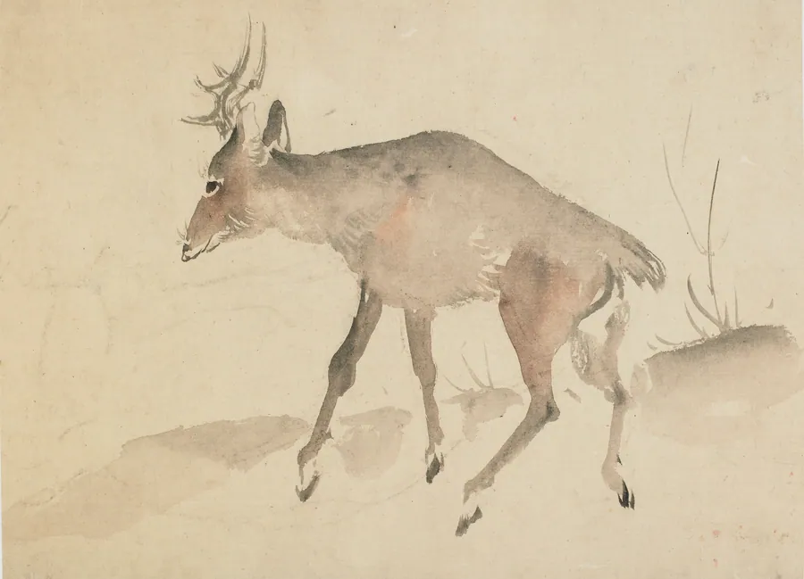 Deer by Katsushika Hokusai 葛飾北斎 (1760-1849)