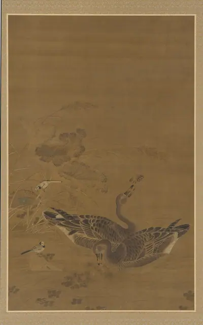 Two geese feeding in a lotus pond