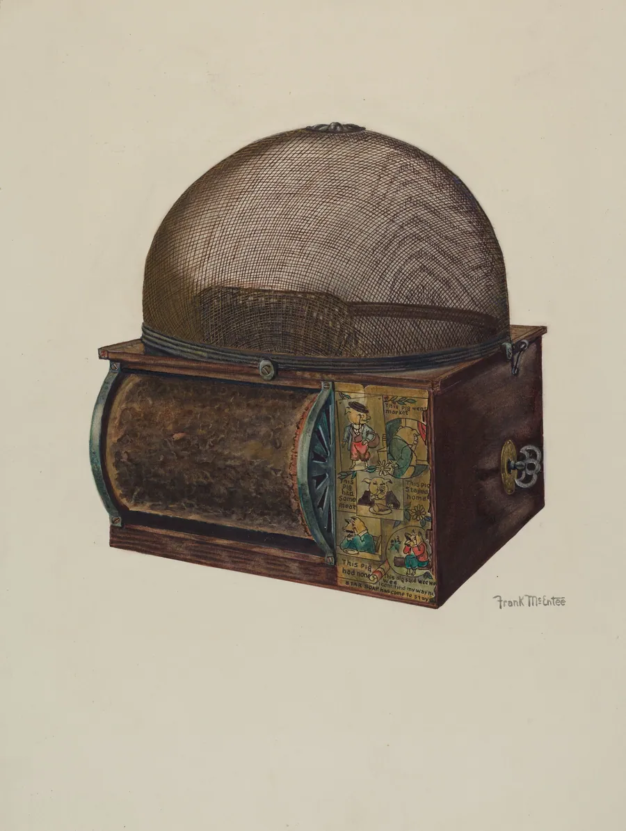 Fly Catcher by Frank McEntee