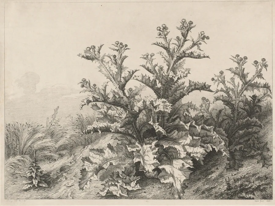 The Great Thistle (Le Grand Chardon) by Eugène Bléry