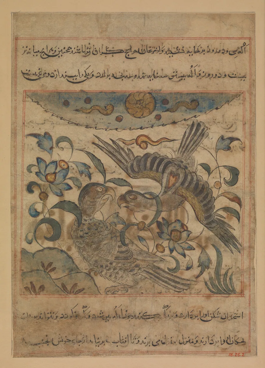 "Pair of Eagles", Folio from a Manafi' al-hayawan (On the Usefulness of Animals) of Ibn Bakhtishu' by Ibn Bakhtishu'