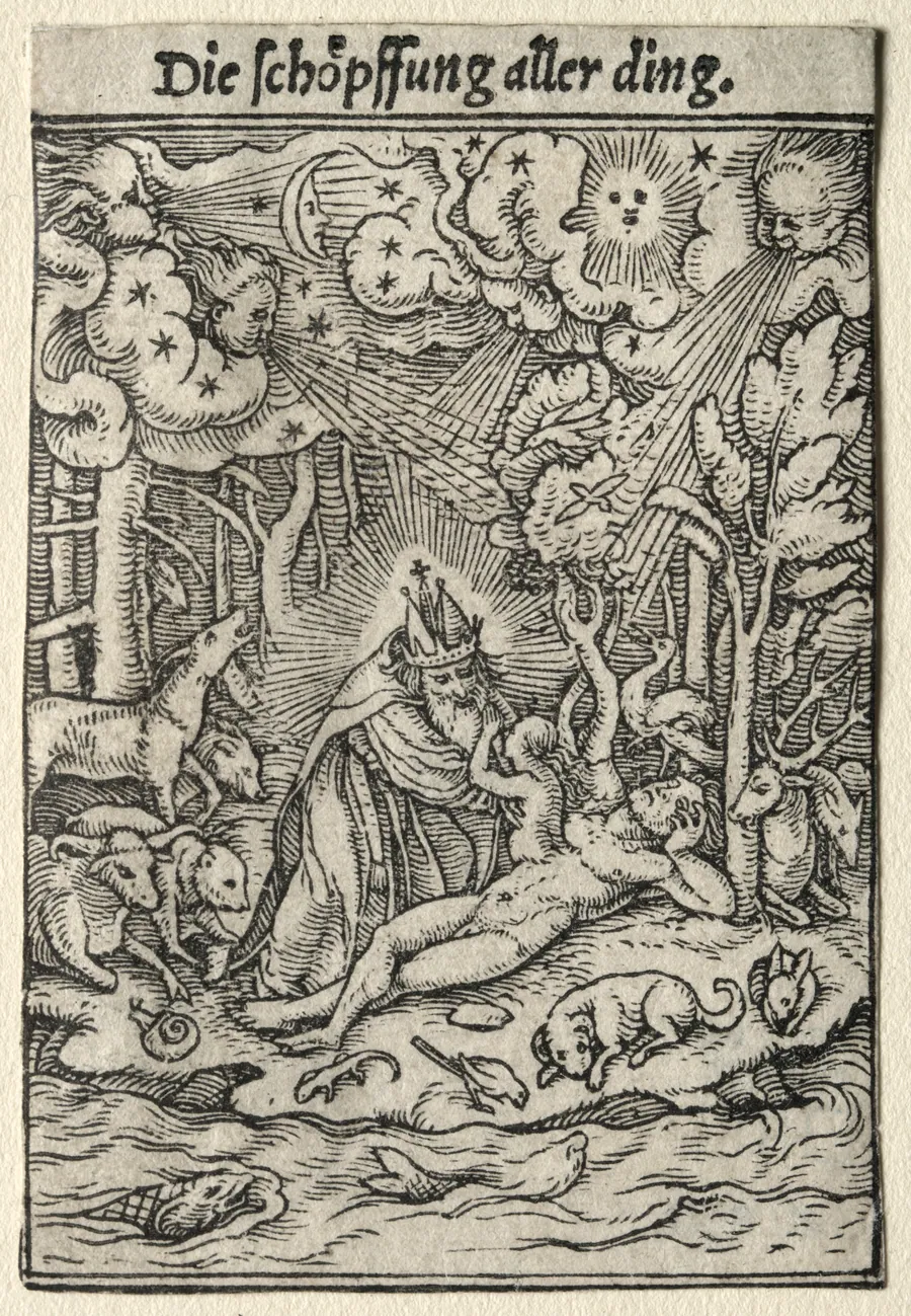 The Creation by Hans Holbein the Younger