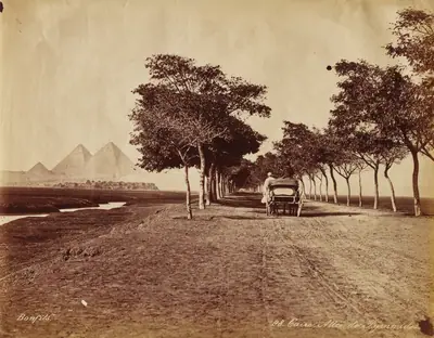 Caire. Allée de Pyramides