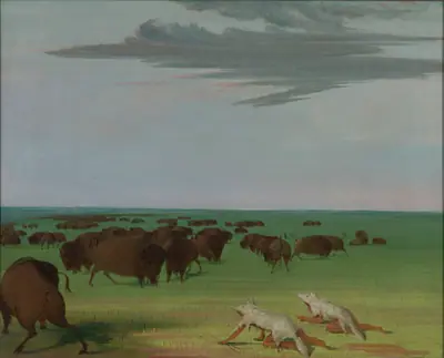 Buffalo Hunt under the Wolf-skin Mask