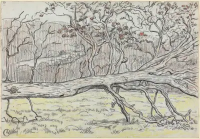Felled Tree, Normandy