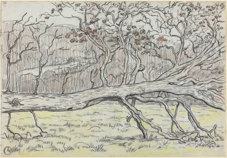 Felled Tree, Normandy by Georges Lacombe