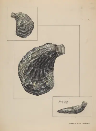 Oyster Shaped Flask