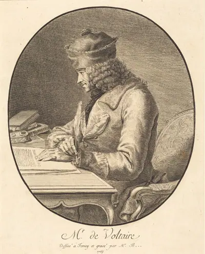 Mr. de Voltaire