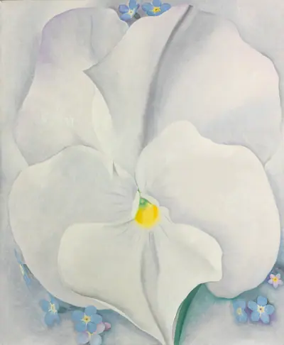 White Pansy