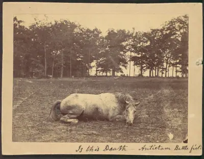 Is This Death - Antietam Battlefield, September 1862