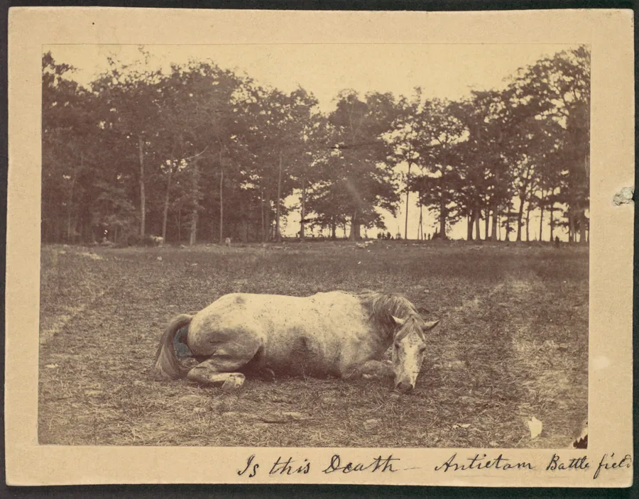 Is This Death - Antietam Battlefield, September 1862 by Alexander Gardner