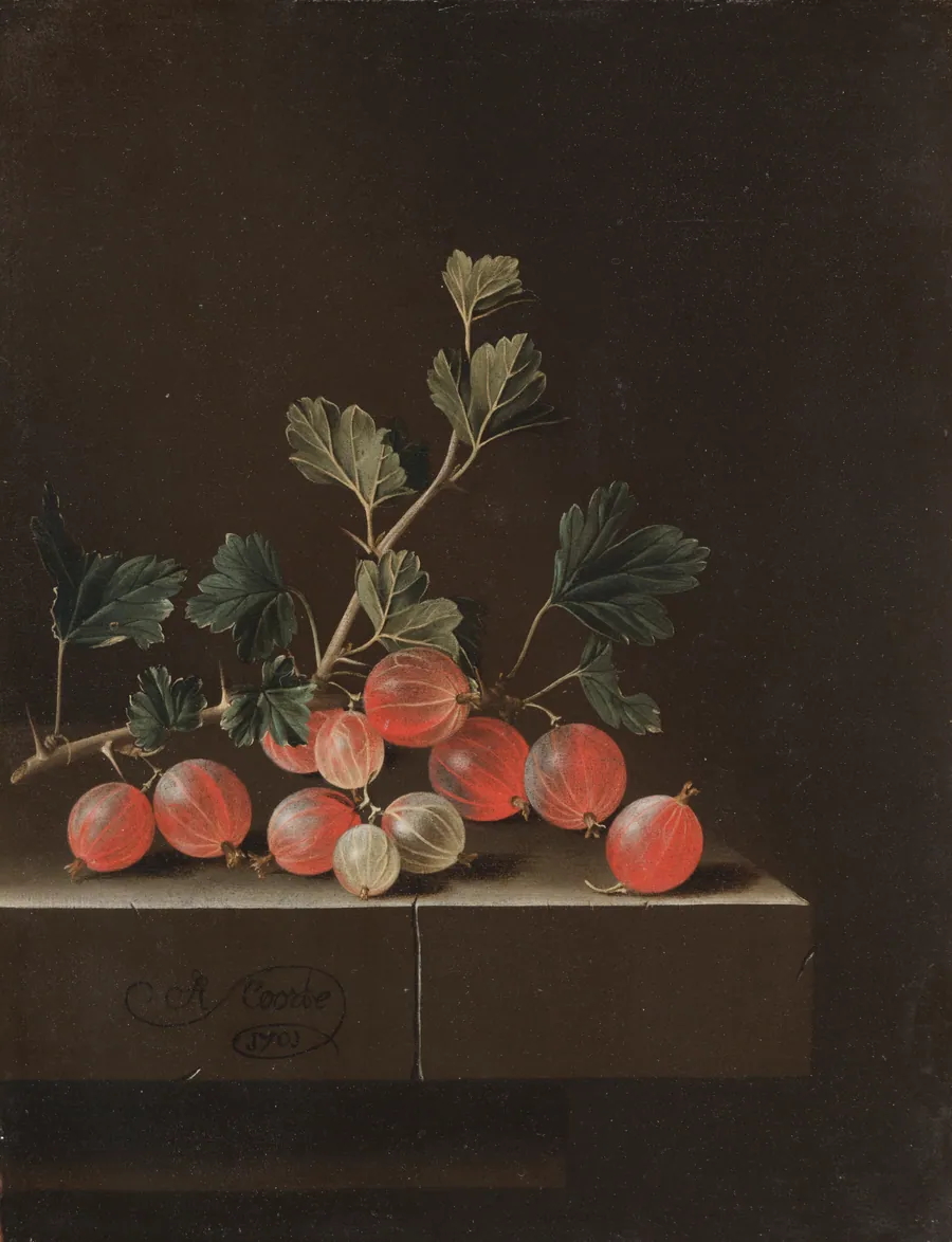 Gooseberries on a Table by Adriaen Coorte