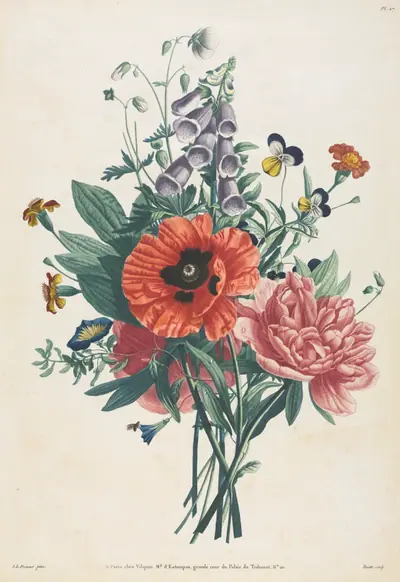 Collection of Flowers and Fruits Painted after Nature: Bouquet of Foxglove, Clematis, Pansy, Peony, Poppy, and Yellow Day Lily