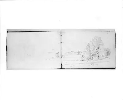 Sketch of Trees (from Sketchbook VII)