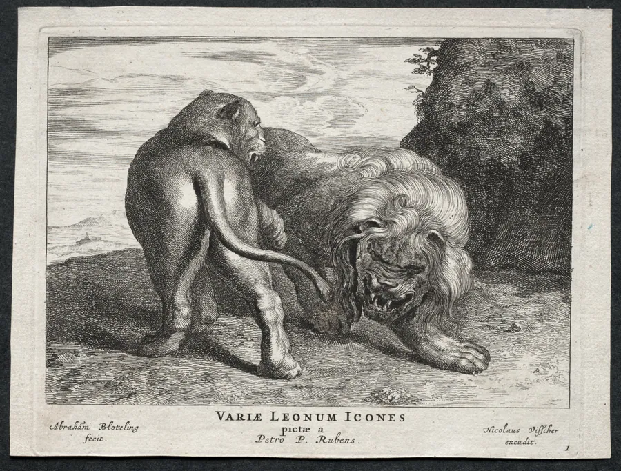 Various Lions by Abraham Blooteling