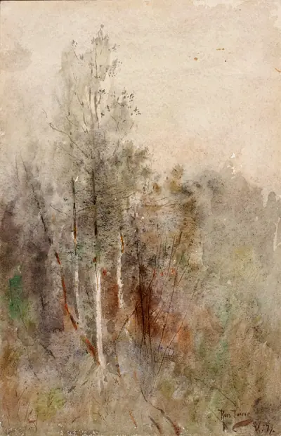 A Tree Study