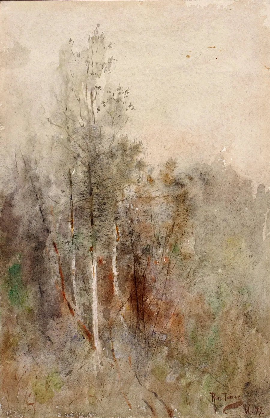 A Tree Study by Ross Turner, born Westport, NY 1847-died Nassau, Bahamas 1915