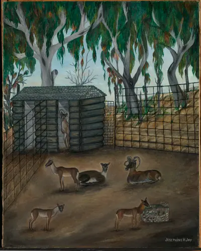 Moufflon--Bobtailed Sheep