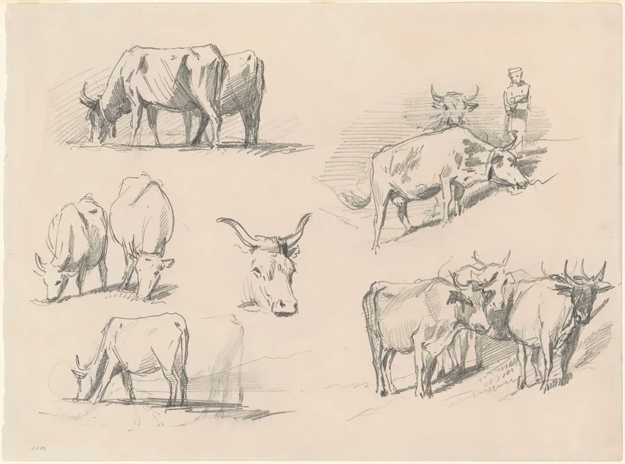 Studies of Cattle by John Singer Sargent