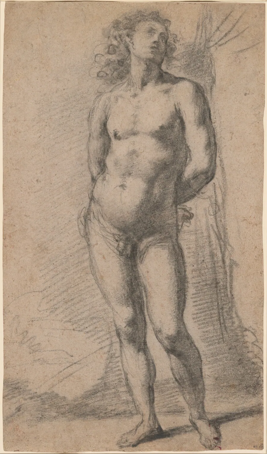 Study of a Standing Male Nude: Saint Sebastian by Jacopo Confortini