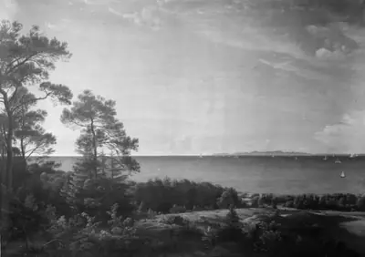 Udsigt fra Sjællands nordkyst over Kattegat mod Kullen. Sommeraften