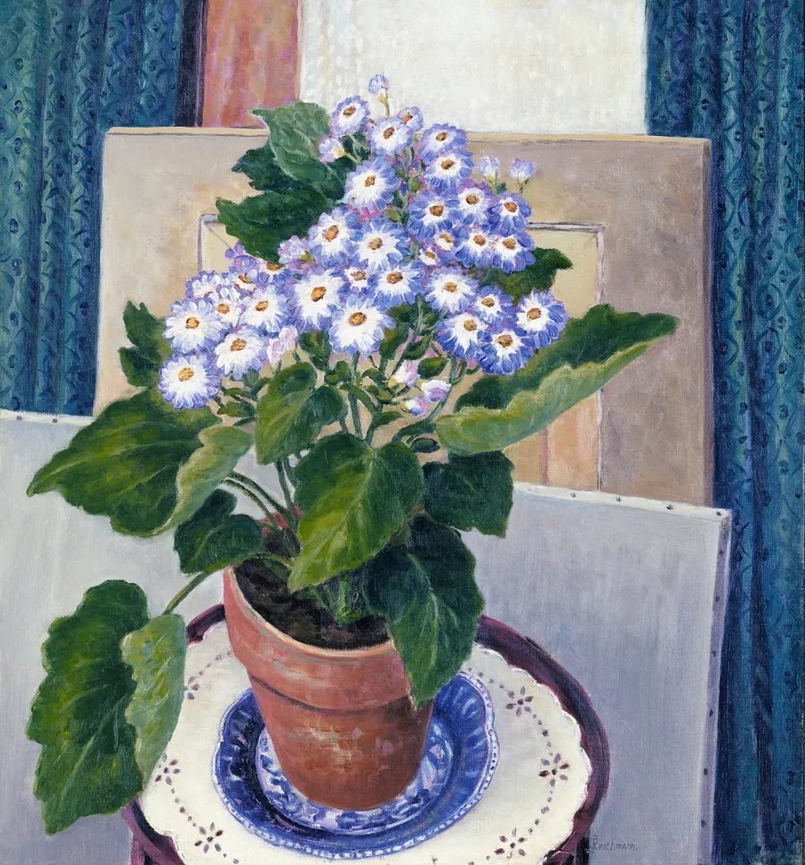 Cineraria by Josephine L. Reichmann, born Louisville, KY 1864-died Chicago, IL 1938