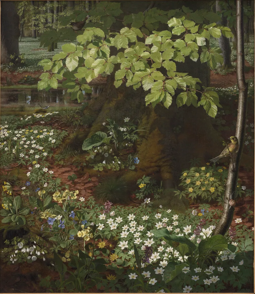 Forår i Charlottenlund Skov by O.D. Ottesen