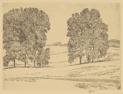 Hickories in a Hayfield