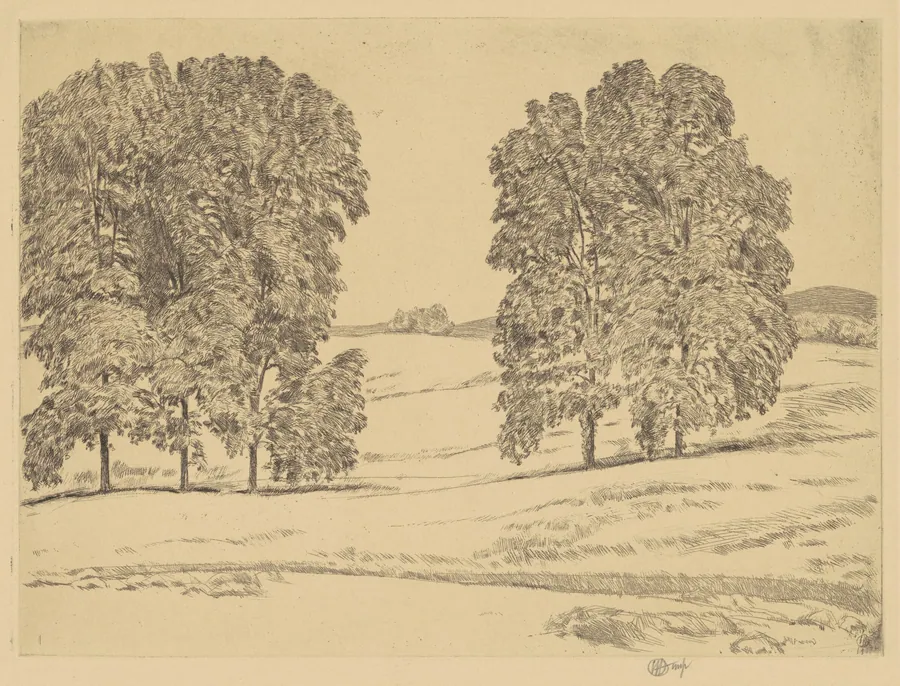 Hickories in a Hayfield by Childe Hassam